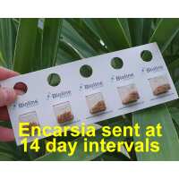 Read green gardener Reviews
